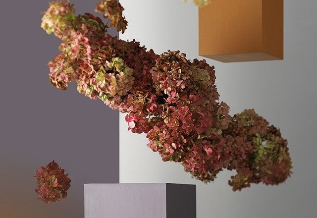 Colour Collaboration with Architecture Now